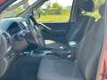 Nissan Navara 2.5 D Doppelkabine Rot - thumbnail 7