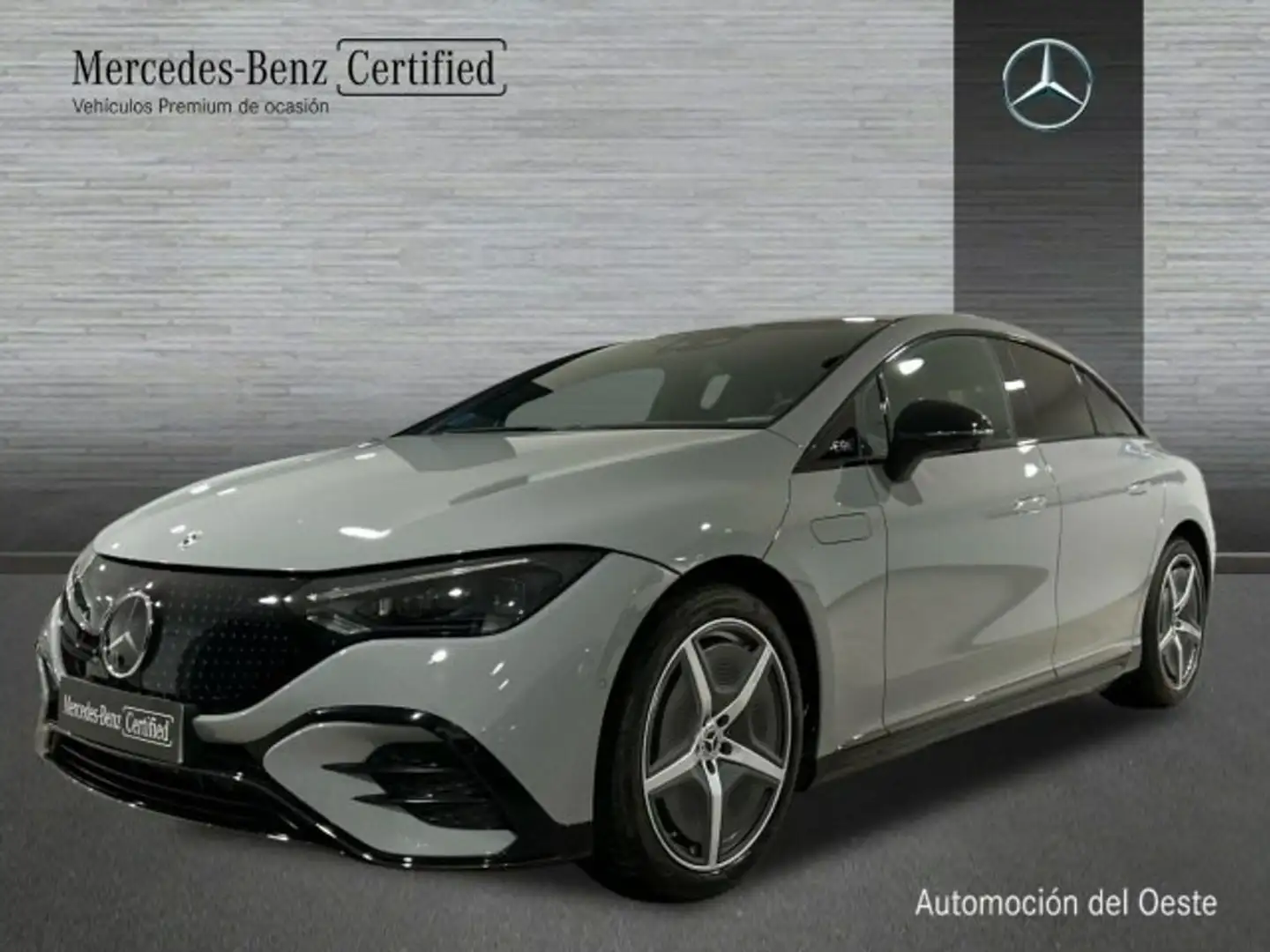 Mercedes-Benz EQE 350 350[0-803+0-053] Gris - 1