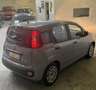 Fiat Panda 1.0 firefly hybrid s&s 70cv - thumbnail 5