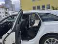 Audi A6 Avant 40 TDI ACC+VIRTUAL-PLUS+AMBIENTE+SPURASSIST Weiß - thumbnail 16