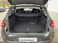 BMW X3 X3 30e xDrive Grau - thumbnail 13