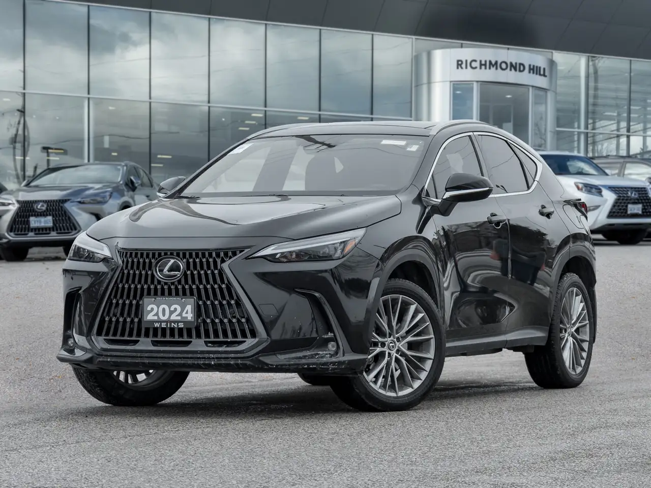 2024 Lexus NX