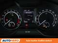 Skoda Octavia 2.0 TDI RS*NAVI*PDC*SHZ*TEMPO* Bleu - thumbnail 20