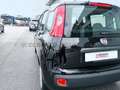 Fiat Panda 1.0 firefly hybrid s&s 70cv Noir - thumbnail 19