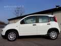 Fiat Panda 1.0 FireFly S&S Hybrid Pandina Wit - thumbnail 8