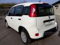 Fiat Panda 1.0 FireFly S&S Hybrid Pandina Wit - thumbnail 7