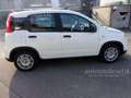 Fiat Panda 1.0 FireFly S&S Hybrid Pandina Wit - thumbnail 4