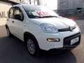 Fiat Panda 1.0 FireFly S&S Hybrid Pandina Wit - thumbnail 3