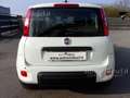 Fiat Panda 1.0 FireFly S&S Hybrid Pandina Wit - thumbnail 6