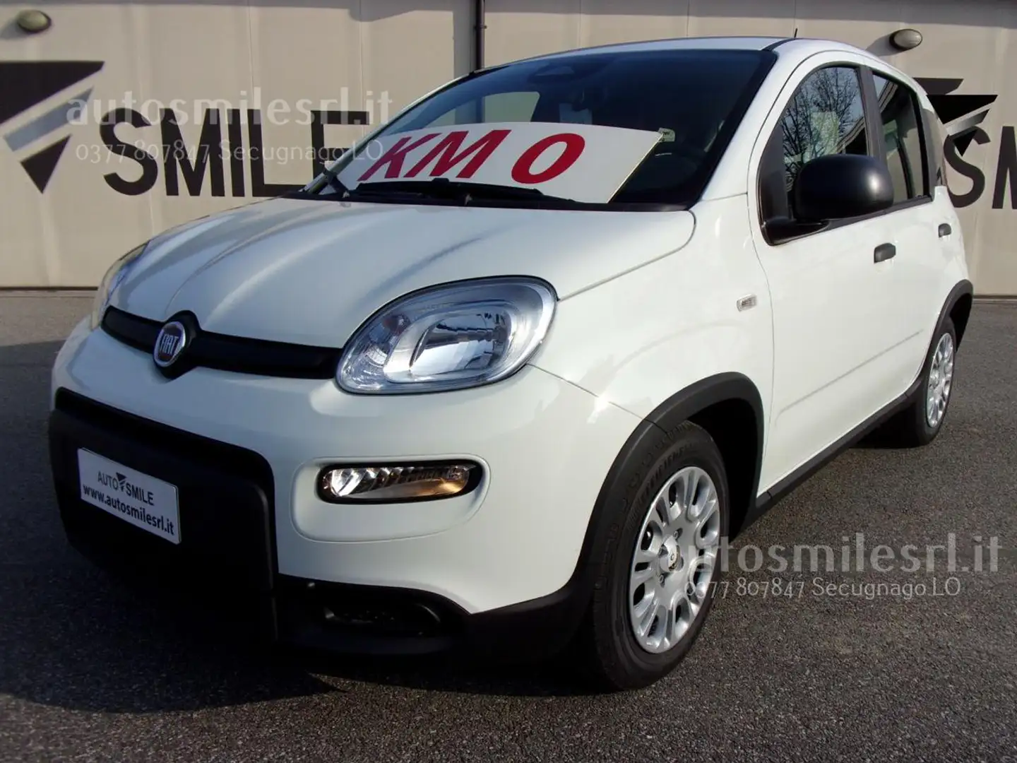 Fiat Panda 1.0 FireFly S&S Hybrid Pandina Wit - 1