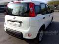 Fiat Panda 1.0 FireFly S&S Hybrid Pandina Wit - thumbnail 5