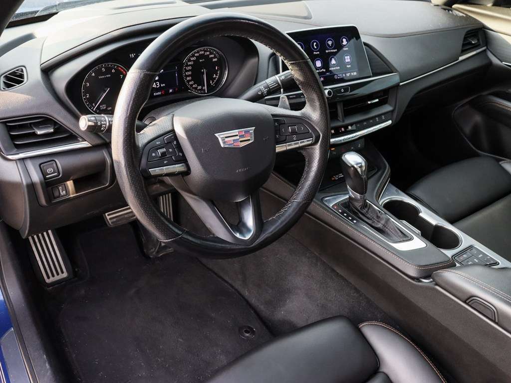 Image 7