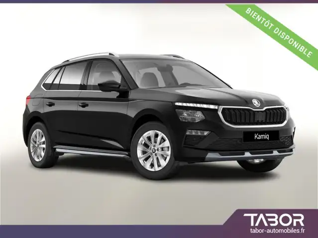 Skoda Kamiq Selec Lodge GPS Cam siegeschauff