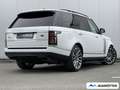 Land Rover Range Rover Vogue 5.0 ACC/360°/Luftfeder/S-Dach Blanc - thumbnail 5