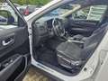 Renault Koleos Intens 4x4 Diesel Automatik Wit - thumbnail 9