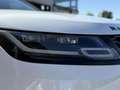 Land Rover Range Rover Velar AWD R-Dynamic / Pano / JA20 Bianco - thumbnail 14