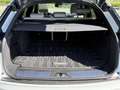 Land Rover Range Rover Velar AWD R-Dynamic / Pano / JA20 Bianco - thumbnail 8