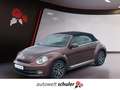 Volkswagen Beetle Cabriolet 1,2 TSI Allstar Kamera Brons - thumbnail 1