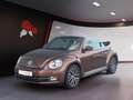 Volkswagen Beetle Cabriolet 1,2 TSI Allstar Kamera Bronze - thumbnail 2