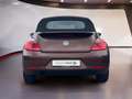 Volkswagen Beetle Cabriolet 1,2 TSI Allstar Kamera Brons - thumbnail 5
