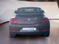 Volkswagen Beetle Cabriolet 1,2 TSI Allstar Kamera Bronze - thumbnail 5