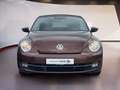 Volkswagen Beetle Cabriolet 1,2 TSI Allstar Kamera Brons - thumbnail 6