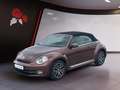 Volkswagen Beetle Cabriolet 1,2 TSI Allstar Kamera Brons - thumbnail 2