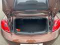 Volkswagen Beetle Cabriolet 1,2 TSI Allstar Kamera Brons - thumbnail 11