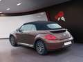 Volkswagen Beetle Cabriolet 1,2 TSI Allstar Kamera Bronze - thumbnail 4