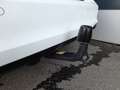 Ford Focus Turnier C&C 1,5 EcoBlue *LED / NAVI / AHV & KAM... Weiß - thumbnail 15