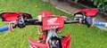 Honda CR 250 cre 250 2005 Targato Rood - thumbnail 6