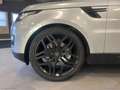 Land Rover Range Rover Sport 3.0 TDV6 HSE Dynamic Argento - thumbnail 6
