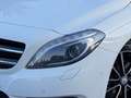 Mercedes-Benz B 200 B 200 Aut. | Panorama | AHK | 1.Besitz Weiß - thumbnail 7