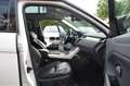 Land Rover Range Rover Evoque SE Dynamic Sport /LEDER/PANO/AUTOMATIK Weiß - thumbnail 24