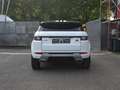 Land Rover Range Rover Evoque SE Dynamic Sport /LEDER/PANO/AUTOMATIK Weiß - thumbnail 13