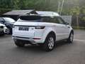 Land Rover Range Rover Evoque SE Dynamic Sport /LEDER/PANO/AUTOMATIK Weiß - thumbnail 14