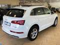Audi Q5 50 TFSI*quattro*S-Line*Pano*SHZ*Digt.Cockpit Blanc - thumbnail 6