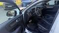 Volvo XC40 B4 AWD R-Design Geartronic Weiß - thumbnail 9