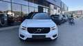 Volvo XC40 B4 AWD R-Design Geartronic Weiß - thumbnail 7