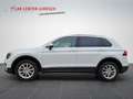 Volkswagen Tiguan Highline BMT/Start-Stopp 4Motion Weiß - thumbnail 3