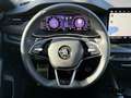 Skoda Octavia Combi RS 2.0 TSI DSG Facelift V-AHZV LED Grün - thumbnail 10