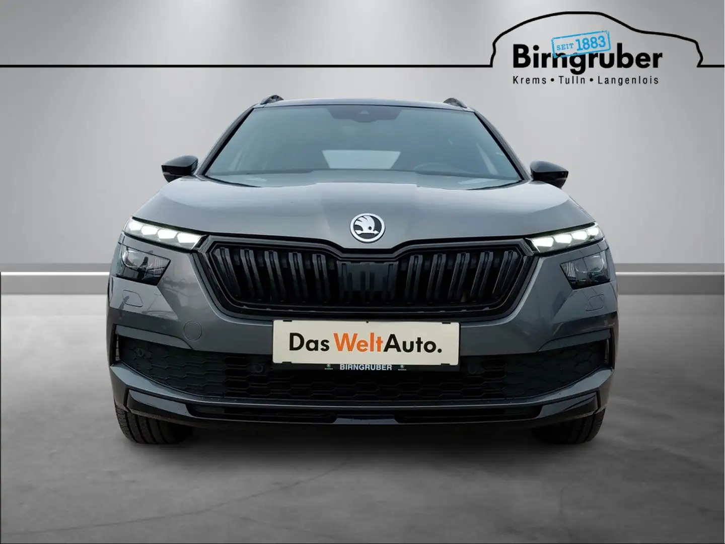 Skoda Kamiq MONTE CARLO TSI DSG Grau - 2