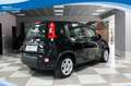 Fiat Panda Hybrid 1.0 FireFly 70cv EU6 Schwarz - thumbnail 4
