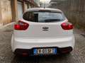 Kia Rio Bianco - thumbnail 3
