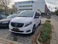 Mercedes-Benz V 250 (BlueTEC) d lang 7G-TRONIC Edition White - thumbnail 1