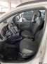 Fiat Panda Panda 4x4 1.3 mjt 16v 4x4 95 CV Weiß - thumbnail 19