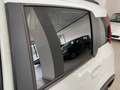 Fiat Panda Panda 4x4 1.3 mjt 16v 4x4 95 CV Weiß - thumbnail 12