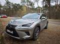 Lexus NX 300h NX 300h 2.5i AWD Executive Line E-CVT (EU6.2) Silber - thumbnail 6