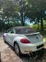 Volkswagen Beetle The Cabriolet 2.0 TDI Design - thumbnail 2