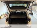 Hyundai TUCSON Tucson 1.6 CRDi Prime Mild-Hybrid 4WD (EURO 6d) 1. Weiß - thumbnail 11